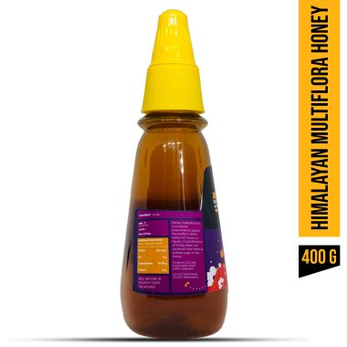 Honey Twigs: Himalayan Multiflora Honey - 400gm