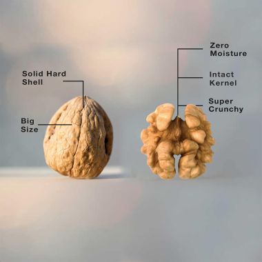 The Daily Nut Co.: Premium Walnuts - Pack of 3 - 200gm each