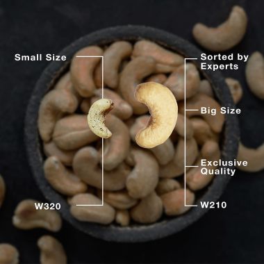 The Daily Nut Co.: Premium Cashews - Pack of 2 - 200gm each