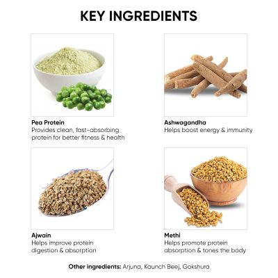 Dr Vaidya's: Herbs Plant Protein - Chocolate Flavour - Pack of 2 - 500gm each