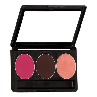 C2P Pro: Pro Basic Trio 2 (Blusher  Contour  Highlighter) - 13gm