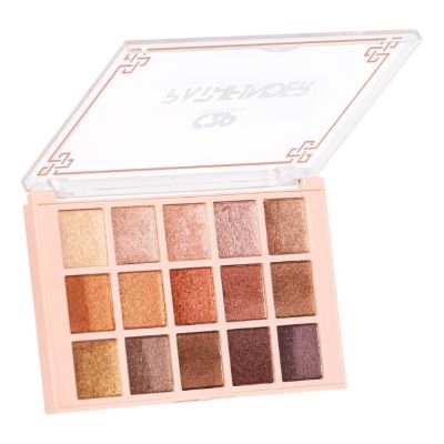 C2P Pro: Pro Pathfinder 15 Color Eye Shadow Palette  Burned Almond 06