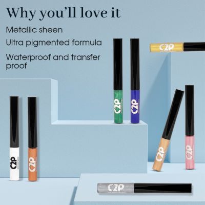 C2P Pro: Pro Frame Me! Eyeliner Metallic Colors  Grey 05