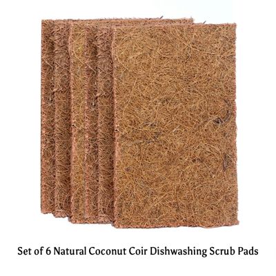 GOLI SODA: Coconut Coir Scrub And Probiotic Dishwash Bar - Exclusive Combo