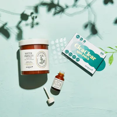 Skinfood: Cica Clear Spot Patch - 100 Patches