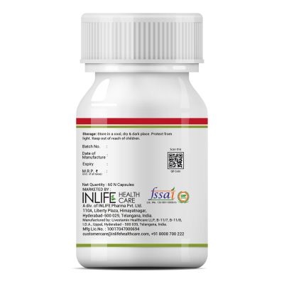 INLIFE: Apple Cider Vinegar Supplement - 60 Vegetarian Capsules