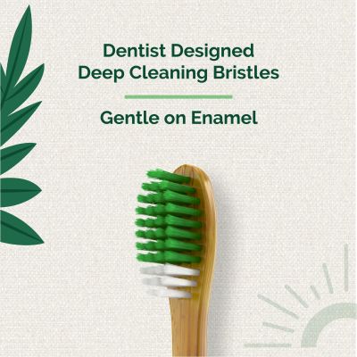 Teeth A Bit: Bamboo Toothbrush Adults Hefty Handle Anti-Plaque Medium Bristles - Pack of 2 (Forest Green)