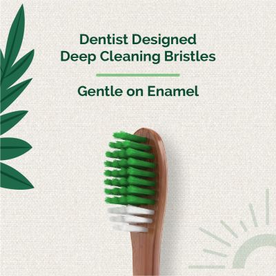 Teeth A Bit: Therapeutic Neem Toothbrush Adult Hefty Handle with Anti-Plaque Medium Bristles - Pack of 2 (Forest Green)