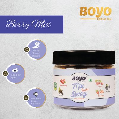 BOYO: Premium Nuts Mix & Berries Mix Combo Pack - 425gm