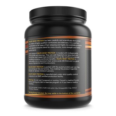 INLIFE: Whey Protein Isolate Concentrate - Cafe Mocha - 400gm