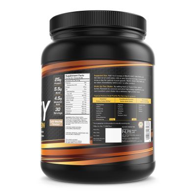 INLIFE: Whey Protein Isolate Concentrate - Cafe Mocha - 400gm