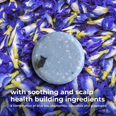 The Switch Fix: Blue-Tea-Ful Conditioner Bar - 50gm