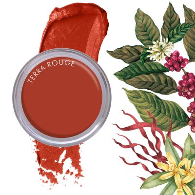 Daughter Earth: 100% Vegan Super Antioxidant Lip & Cheek Tint- Terra Rouge (Nude Red) - 4.5gm