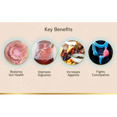 LYEF Wellness: Gut Restore Capsule - 60 Capsules