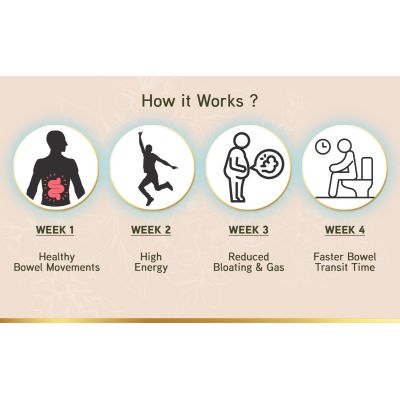 LYEF Wellness: Gut Restore Capsule - 60 Capsules