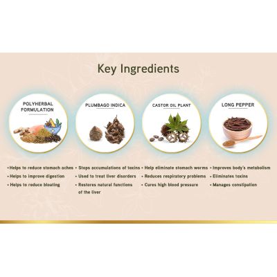LYEF Wellness: Gut Restore Capsule - 60 Capsules