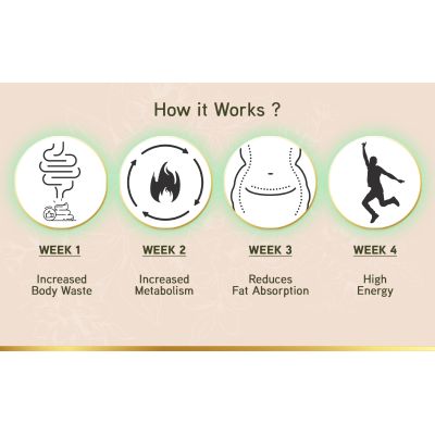 LYEF Wellness: Meta Re-Balance Capsule - 60 Capsules