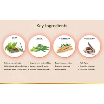 LYEF Wellness: Acid Balance Capsule - 60 Capsules
