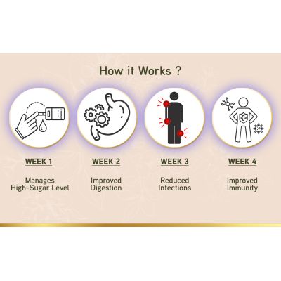 LYEF Wellness: Sugar Regulate Capsule - 60 Capsules