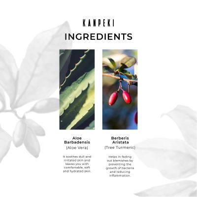 Kanpeki: Hydra Boost Facial Serum - 20gm