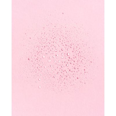 Earth Harbour: Tidal Rose Crystal Hydration Toner - 60ml