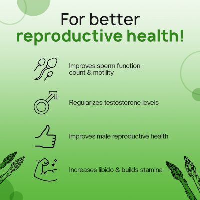 The Co Being: Alphertyle Male Fertility Capsule - 60 Capsules