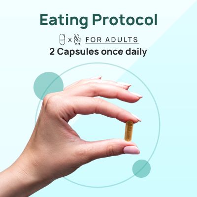 The Co Being: Brain Force Capsule - 60 Capsules