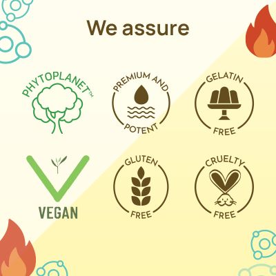 The Co Being: Burn Fit Capsule - 60 Capsules