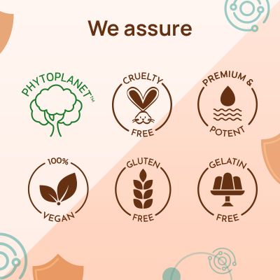 The Co Being: Yelovitz Capsule - 60 Capsules