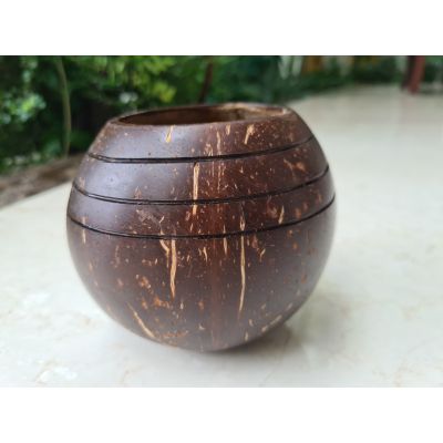 Thenga: Coconut Shell 3 Line Planter