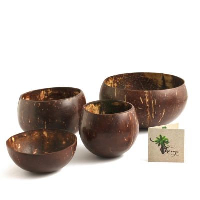 Thenga: Coconut Shell Round Bowl Set