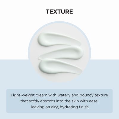 SKIN1004:  Madagascar Centella Hyalu-Cica Moisture Cream 75ml