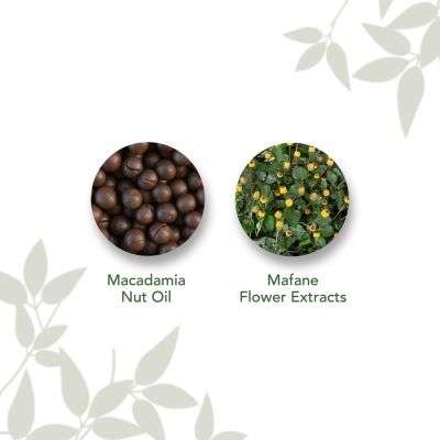 PureSense: Macadamia Renewing Night Cream- 50ml
