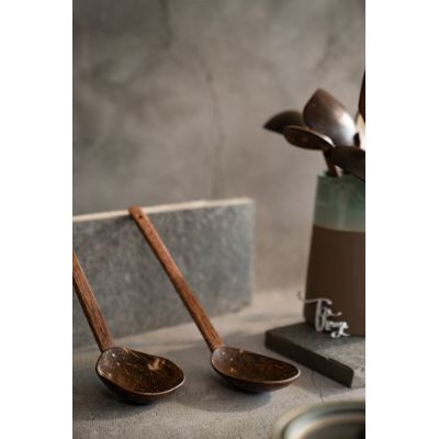 Thenga: Natural Handmade Coconut Shell Serving Spoon - Pack of 2