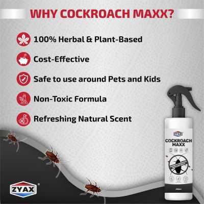 ZYAX: Cockroach Maxx - 250ml