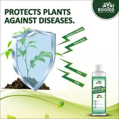 ZYAX: Neem Oil Concentrate - 250ml