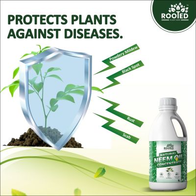 ZYAX: Neem Oil Concentrate - 1000ml