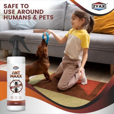 ZYAX: Ant Maxx - 250ml