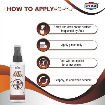 ZYAX: Ant Maxx - 100ml