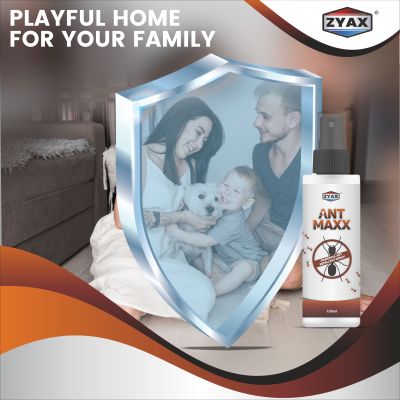 ZYAX: Ant Maxx - 100ml