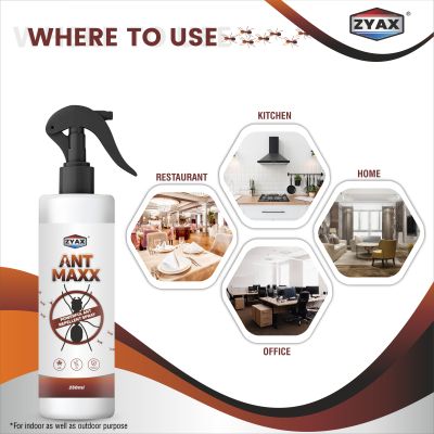 ZYAX: Ant Maxx - 250ml