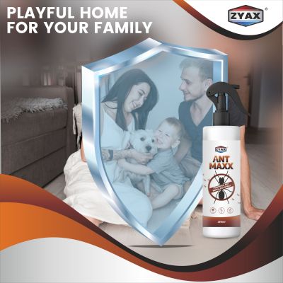 ZYAX: Ant Maxx - 250ml