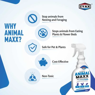 ZYAX: Animal Maxx - 500ml