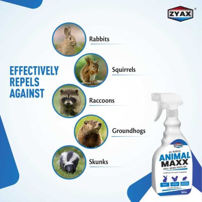 ZYAX: Animal Maxx - 500ml