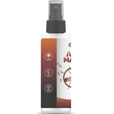 ZYAX: Ant Maxx - 100ml