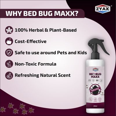 ZYAX: Bed Bug Maxx - 250ml