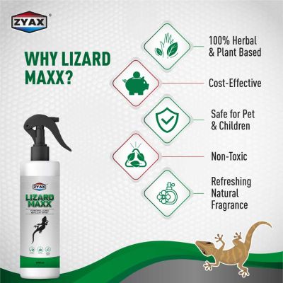 ZYAX: Lizard Maxx - 250ml