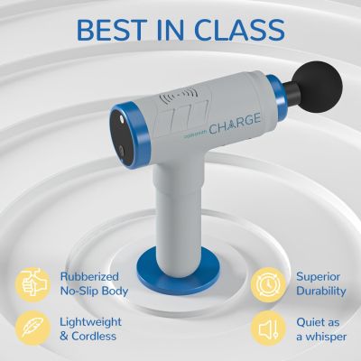 Caresmith: Charge Massage Gun - Grey
