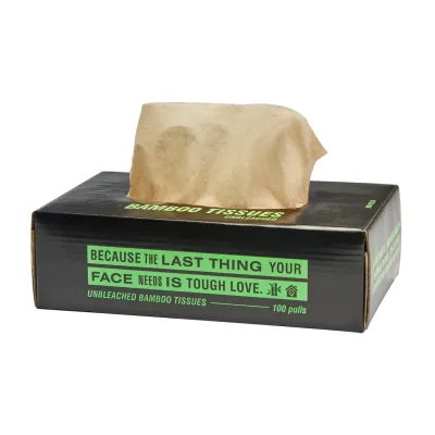 Beco: Facial Tissue Carbox - 100 Pulls - Pack of 6