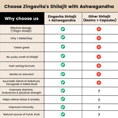 Zingavita: Shilajit Effervescent Tablets 750 mg with Ashwagandha extract - 15Tablets